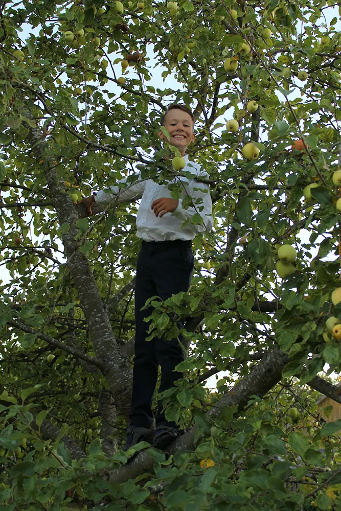 Labdarības koncerts Saldū