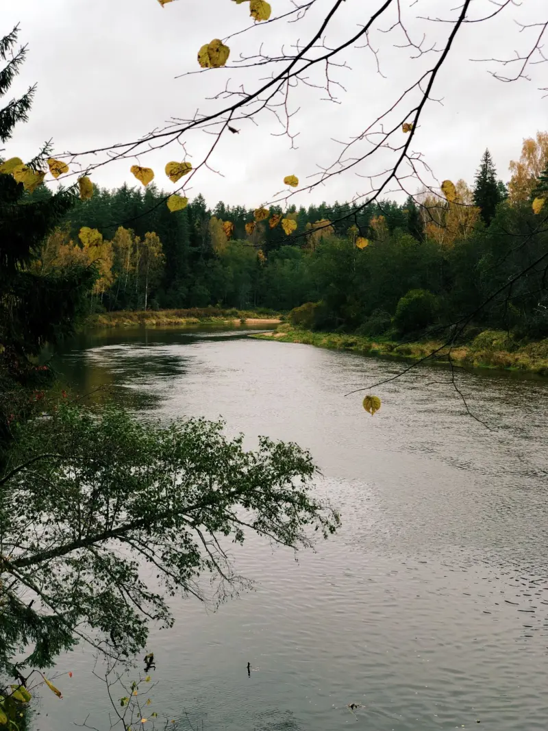 Izaicinājuma garša pārgājienā Cēsīs