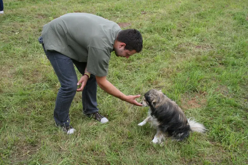 TeamWork 2011